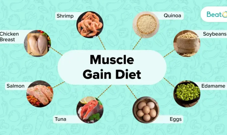 Best Low Budget Diet for Muscle Gain (Veg & Non-Veg)