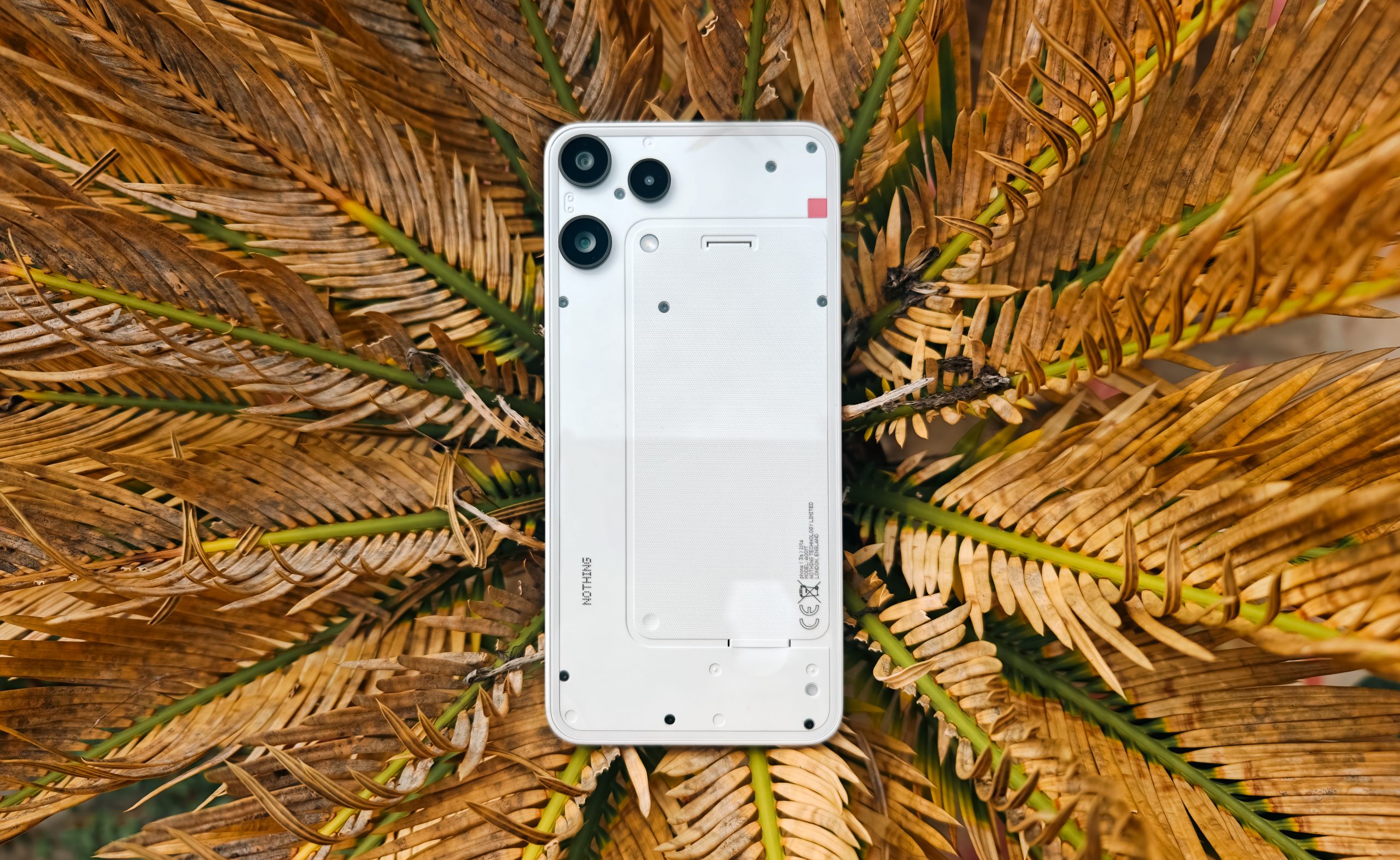 Nothing Phone 3a Lite