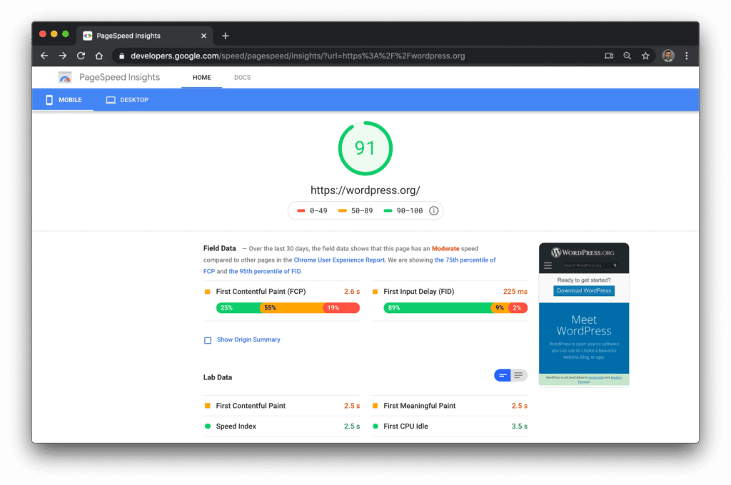 Screenshot of Google PageSpeed Insights showing mobile performance score and key speed metrics for wordpress, useful for webste speed optimization